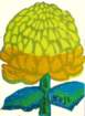 46 photo46_small.jpg